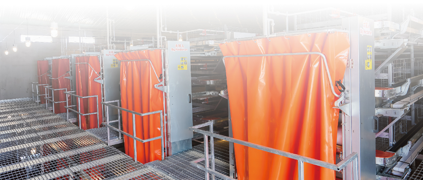 ناقل السماد داخل المنزل من شركة Big Herdsman