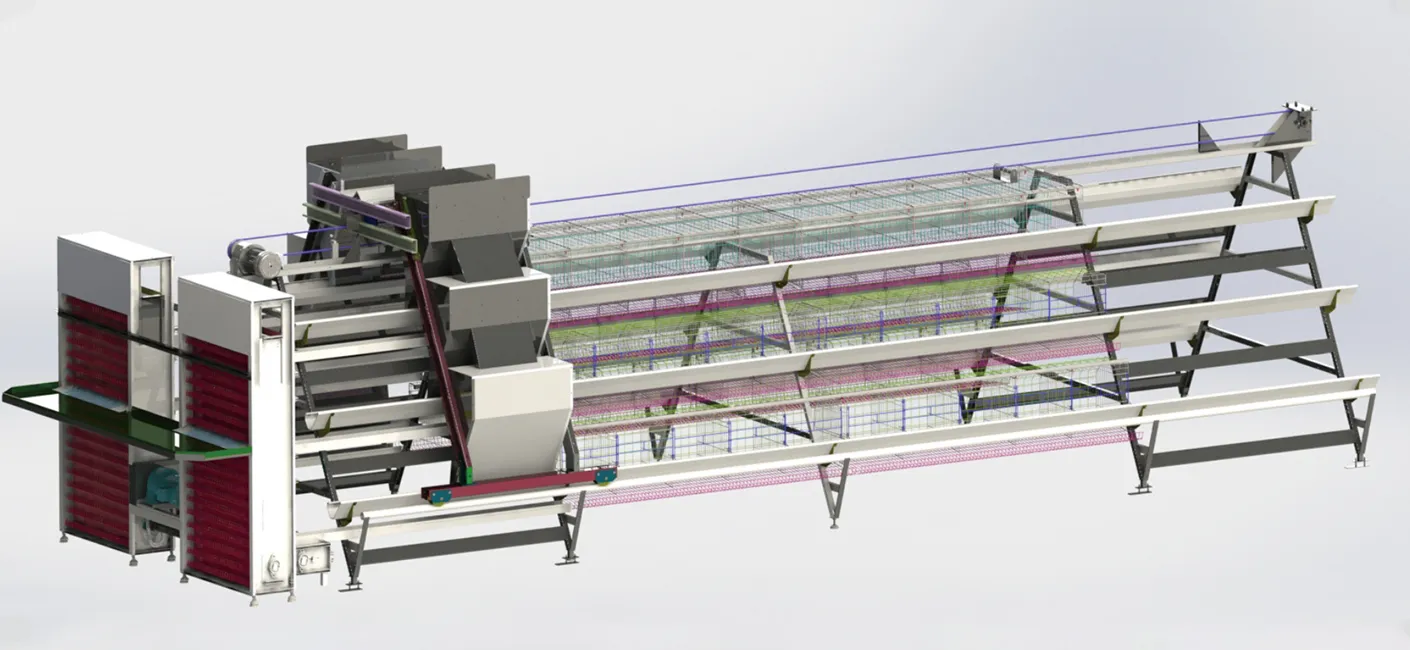 قفص تربية الدجاج البياض من النوع A