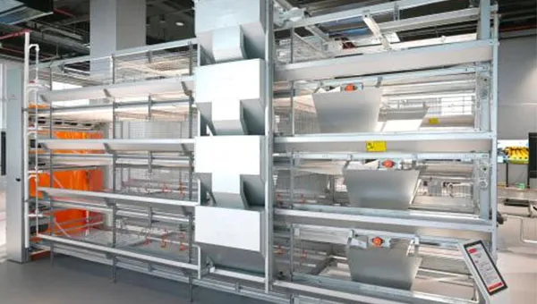Pullet Cage