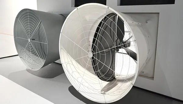 fan