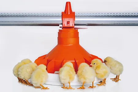 Nepal automatic broiler cage project