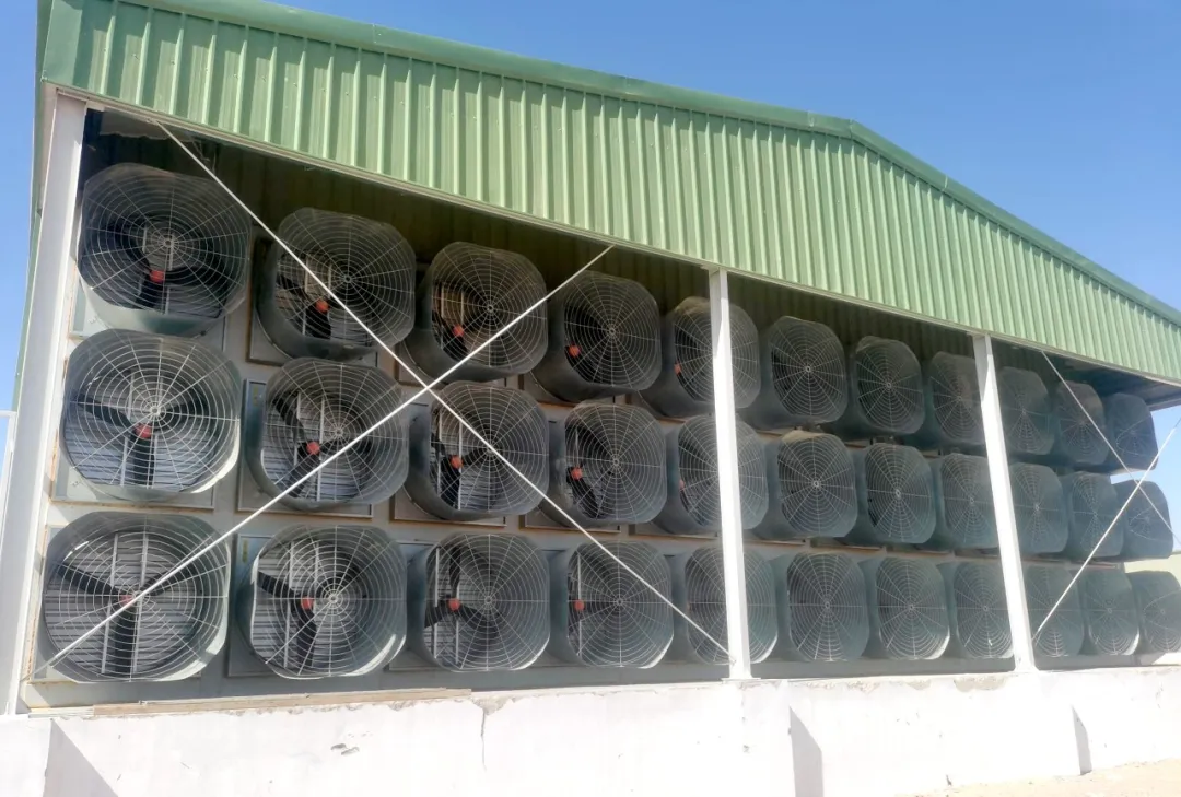 Avances científicos bajo un calor extremo(1)