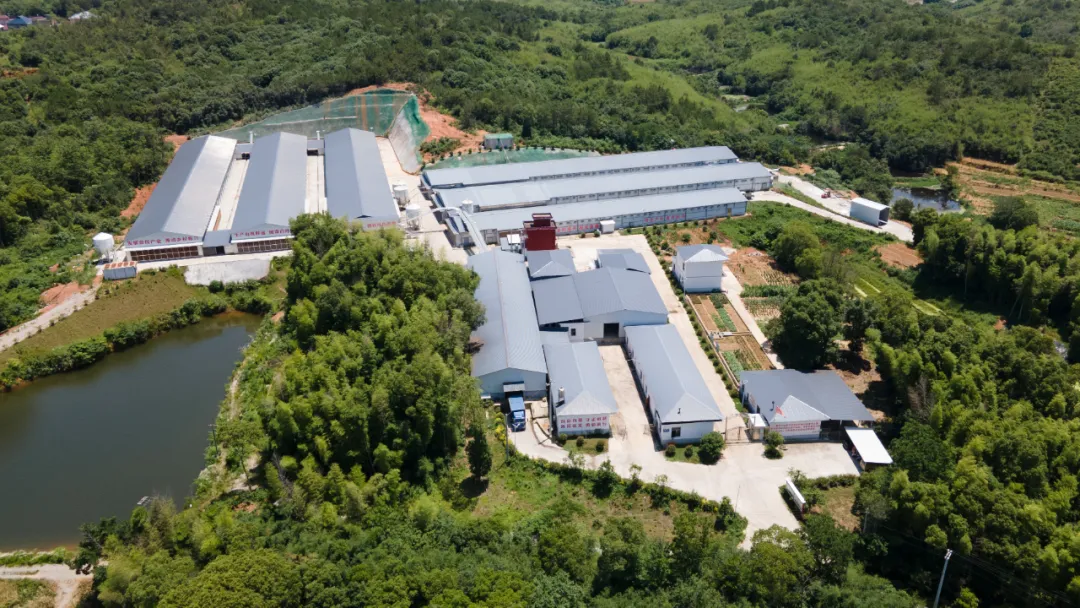 Guandong Base