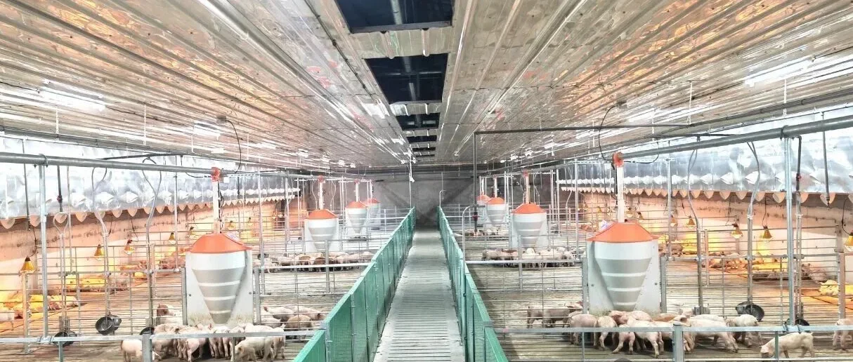 Nutritional Environment 1