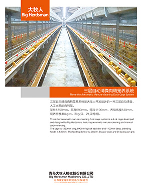 Three-tier automatic manure-cleaning duck cage   system