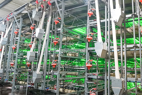 Automatic laminated broiler cage system