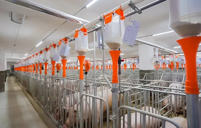 Интеллектуальная фермерская сеть Big Herdsman