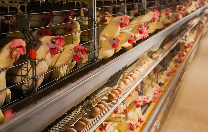 45螺旋进料管线