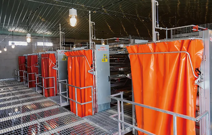 Big Herdsman 外置粪便输送机