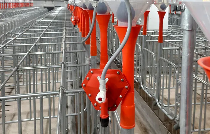 Система поения Big Herdsman