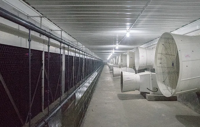 نظام معالجة الهواء العادم للماشية من شركة Big Herdsman