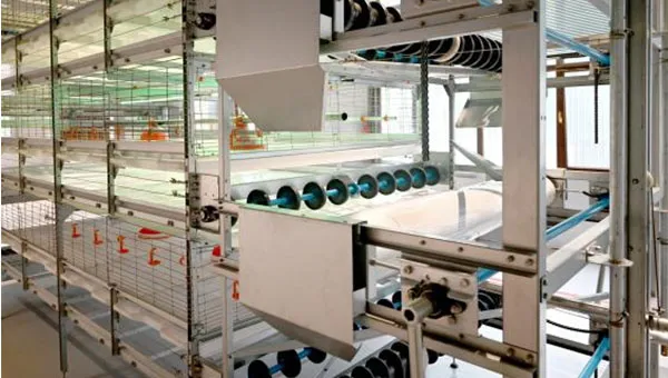 Auto harvest cage system