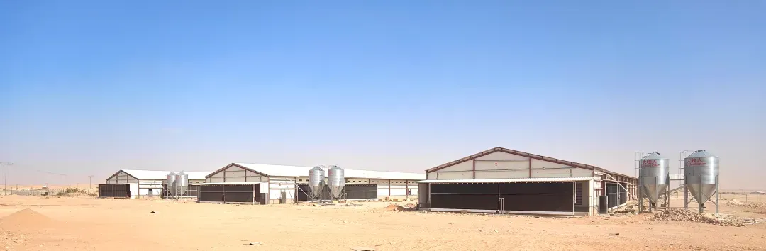 Saudi Arabia