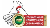 Internationl poultry expo