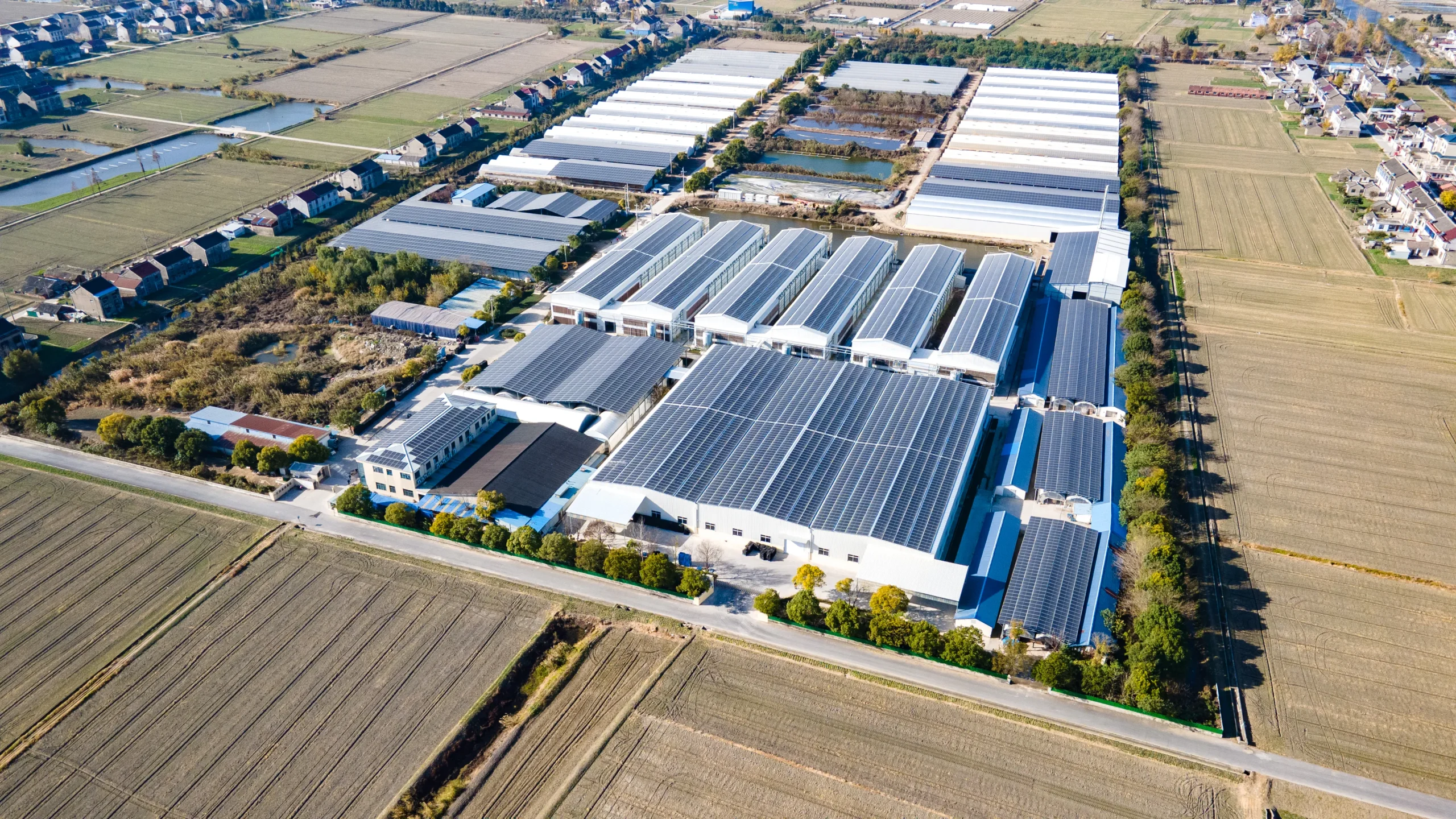 فك التشفير2